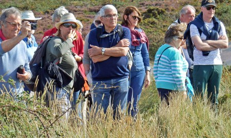 Pour retrouver bien vite la lande.